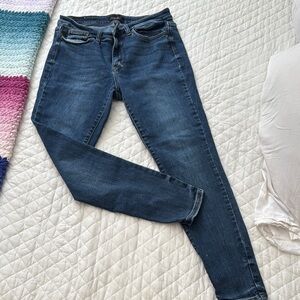 Judy Blue Skinny Blue Jeans Classic Denim